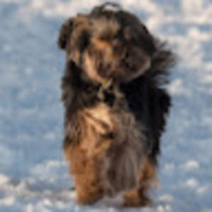 Meet your Posher, Karen